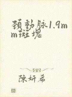 颈动脉1.9mm斑块