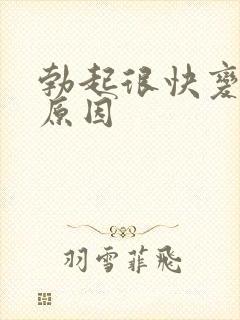 勃起很快变软的原因