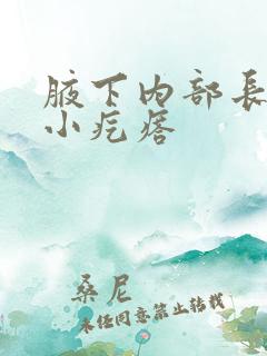 腋下内部长了个小疙瘩