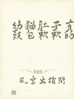 幼猫肚子有个小鼓包软软的