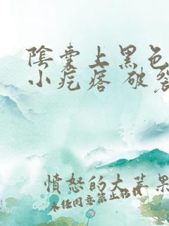 阴囊上黑色凸起小疙瘩 破裂出血