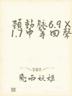 颈动脉6.9×1.7中等回声斑块