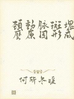 颈动脉斑块是什么原因形成