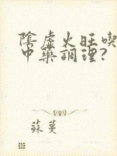 阴虚火旺吃什么中药调理?