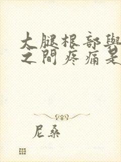 大腿根部与睾丸之间疼痛是什么原因