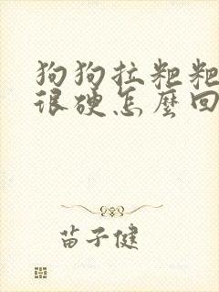 狗狗拉粑粑很干很硬怎么回事