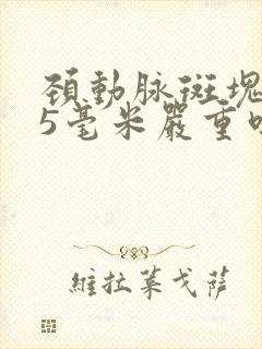 颈动脉斑块1.5毫米严重吗