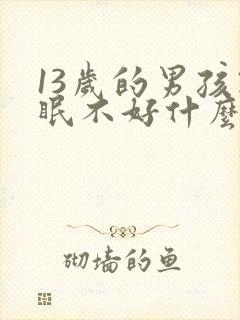 13岁的男孩睡眠不好什么原因