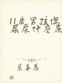 11岁男孩偶尔尿床什么原因