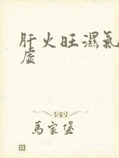 肝火旺湿气重脾虚