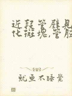 近段管壁见非钙化斑块,管腔轻微狭窄