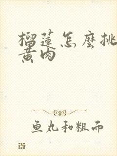 榴莲怎么挑干包黄肉