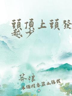 头顶上头发越来越少