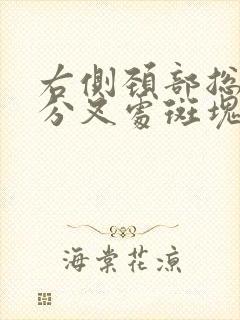 右侧颈部总动脉分叉处斑块