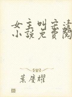 女主叫宋清禾的小说免费阅读