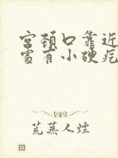 宫颈口靠近肛门处有小硬疙瘩