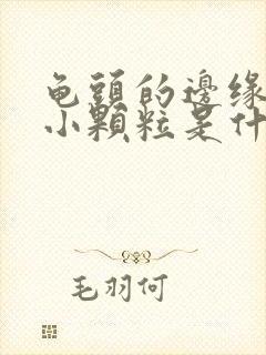 龟头的边缘长的小颗粒是什么原因