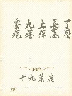 睾丸上长了小红疙瘩痒怎么回事