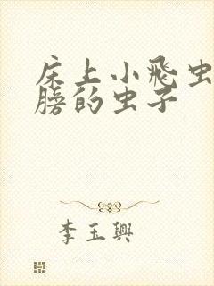 床上小飞虫带翅膀的虫子