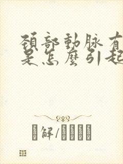 颈部动脉有斑块是怎么引起的