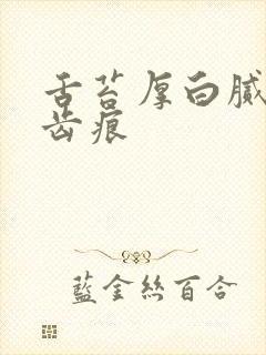 舌苔厚白腻 有齿痕