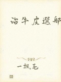 治牛皮选哪里好