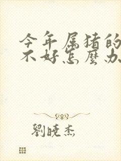 今年属猪的运气不好怎么办