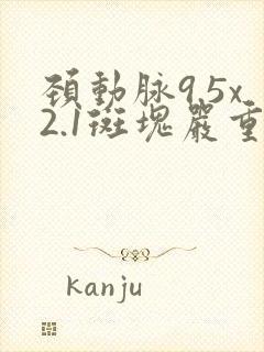 颈动脉9.5x2.1斑块严重吗?要治疗吗