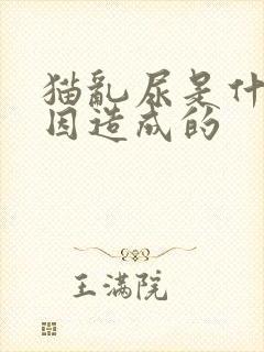 猫乱尿是什么原因造成的