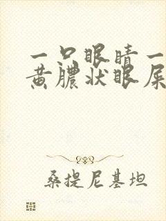 一只眼睛一直出黄脓状眼屎