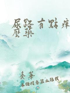 尿路有点痒吃什么药