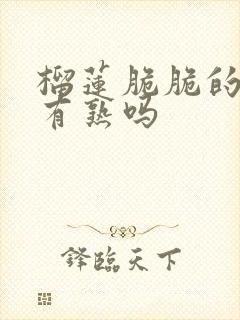 榴莲脆脆的是没有熟吗