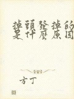 掉头发掉的厉害是什么原因造成的?