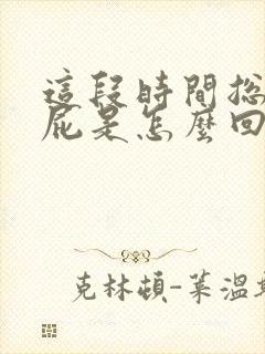 这段时间总爱放屁是怎么回事