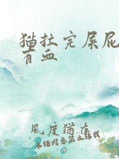 猫拉完屎屁股上有血