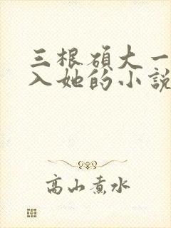 三根硕大一起挤入她的小说