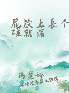 屁股上长个包一碰就痛