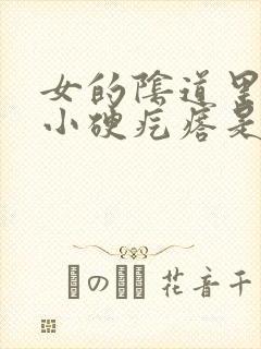 女的阴道里有些小硬疙瘩是怎么回事