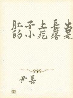 肚子上长出硬硬的小疙瘩是怎么回事