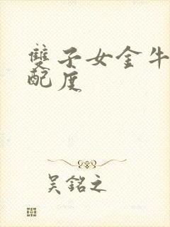 双子女金牛男匹配度