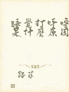 睡觉打呼噜的人是什么原因