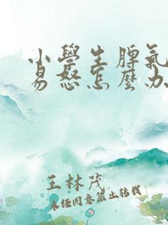 小学生脾气暴躁易怒怎么办心理辅导个案