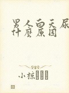 男人白天尿频是什么原因