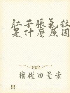 肚子胀气拉水便是什么原因