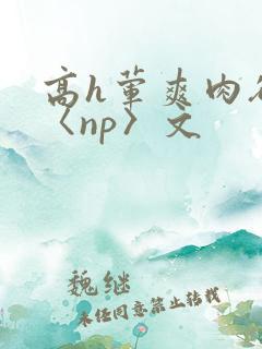 高h荤爽肉欲文〈np〉文