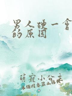 男人硬一会就软的原因