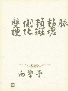 双侧颈动脉窦部硬化斑块