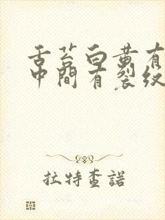 舌苔白黄有齿痕中间有裂纹