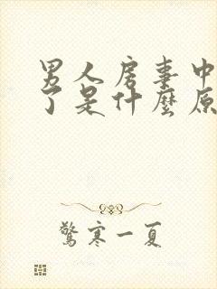 男人房事中途软了是什么原因