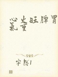 心火旺脾胃虚湿气重